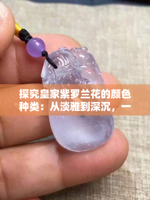 探究皇家紫罗兰花的颜色种类：从淡雅到深沉，一探究竟