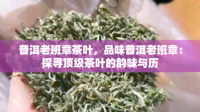 普洱老班章茶叶，品味普洱老班章：探寻顶级茶叶的韵味与历