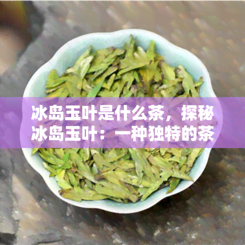 冰岛玉叶是什么茶，探秘冰岛玉叶：一种独特的茶叶品种