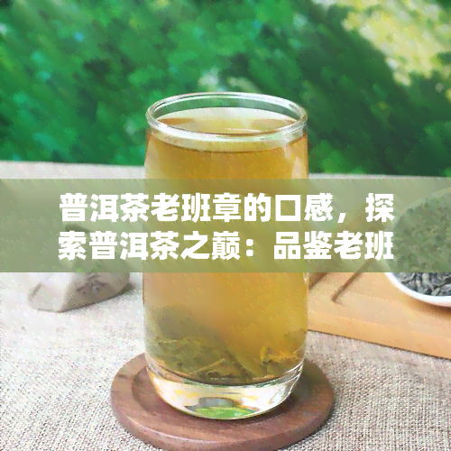 普洱茶老班章的口感，探索普洱茶之巅：品鉴老班章的独特口感