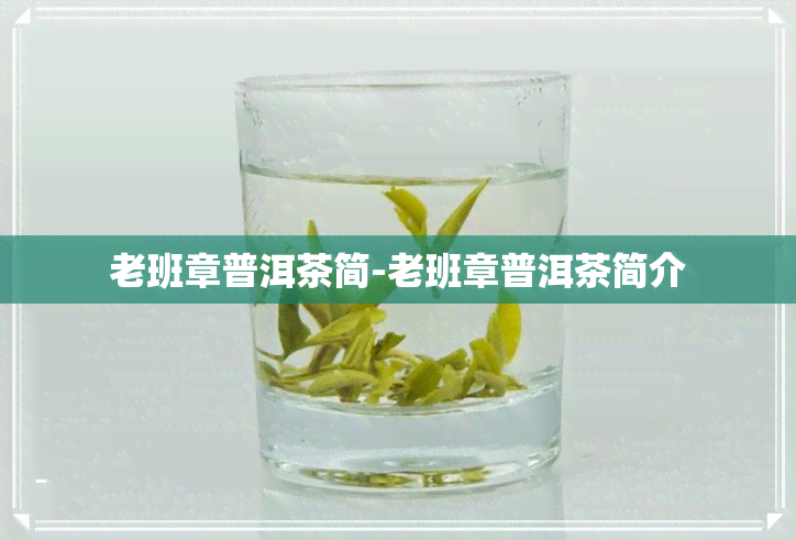 老班章普洱茶简-老班章普洱茶简介