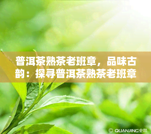 普洱茶熟茶老班章，品味古韵：探寻普洱茶熟茶老班章的神秘魅力