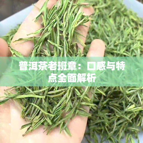 普洱茶老班章：口感与特点全面解析