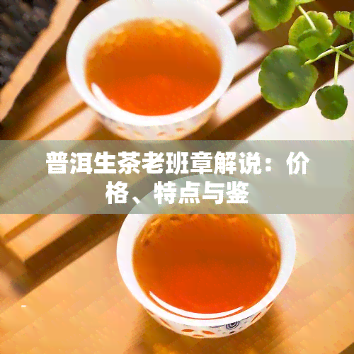 普洱生茶老班章解说：价格、特点与鉴