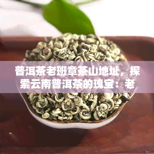 普洱茶老班章茶山地址，探索云南普洱茶的瑰宝：老班章茶山的详细地址