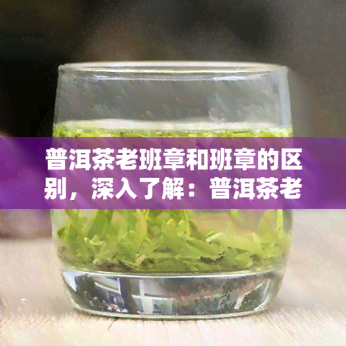 普洱茶老班章和班章的区别，深入了解：普洱茶老班章与班章之间的区别