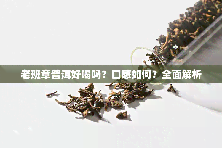 老班章普洱好喝吗？口感如何？全面解析