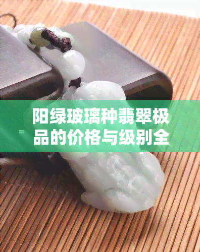 阳绿玻璃种翡翠极品的价格与级别全解