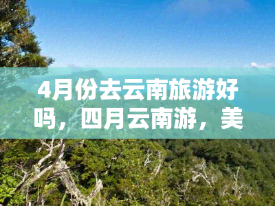 4月份去云南旅游好吗，四月云南游，美景等待你的探索！