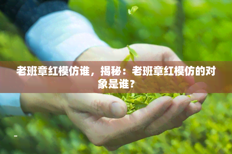 老班章红模仿谁，揭秘：老班章红模仿的对象是谁？