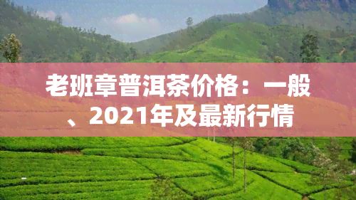 老班章普洱茶价格：一般、2021年及最新行情