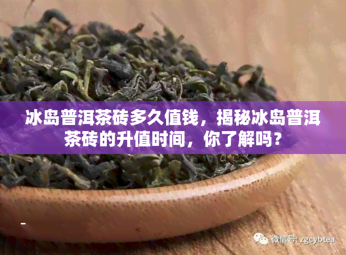 冰岛普洱茶砖多久值钱，揭秘冰岛普洱茶砖的升值时间，你了解吗？