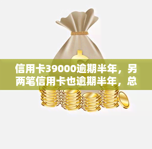 信用卡39000逾期半年，另两笔信用卡也逾期半年，总金额达42000元