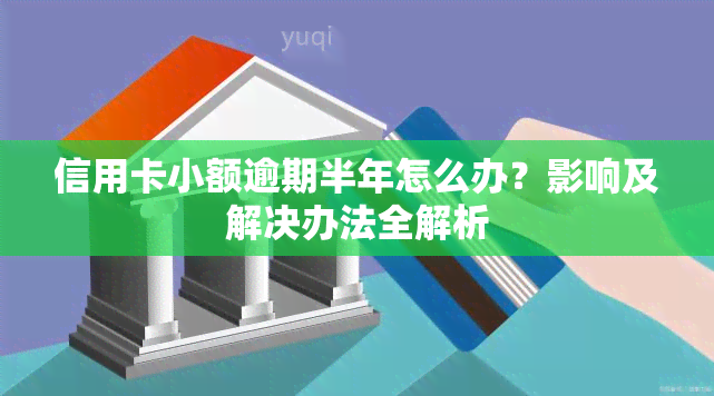 信用卡小额逾期半年怎么办？影响及解决办法全解析