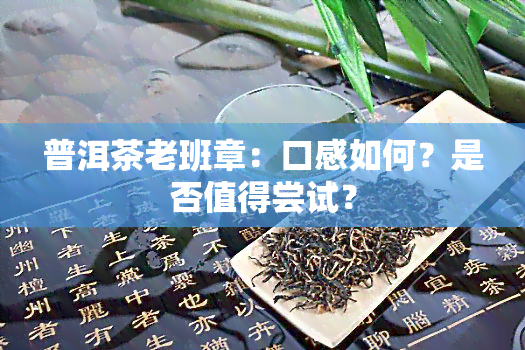 普洱茶老班章：口感如何？是否值得尝试？