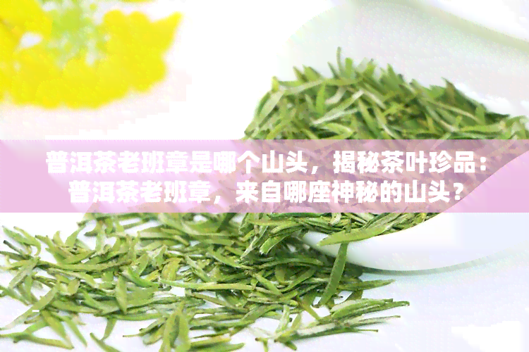 普洱茶老班章是哪个山头，揭秘茶叶珍品：普洱茶老班章，来自哪座神秘的山头？