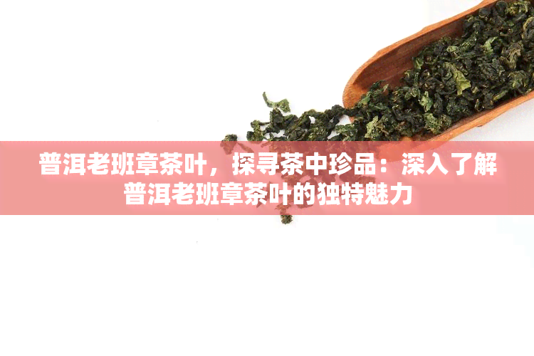 普洱老班章茶叶，探寻茶中珍品：深入了解普洱老班章茶叶的独特魅力