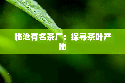 临沧有名茶厂：探寻茶叶产地