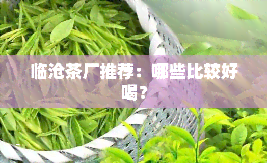 临沧茶厂推荐：哪些比较好喝？