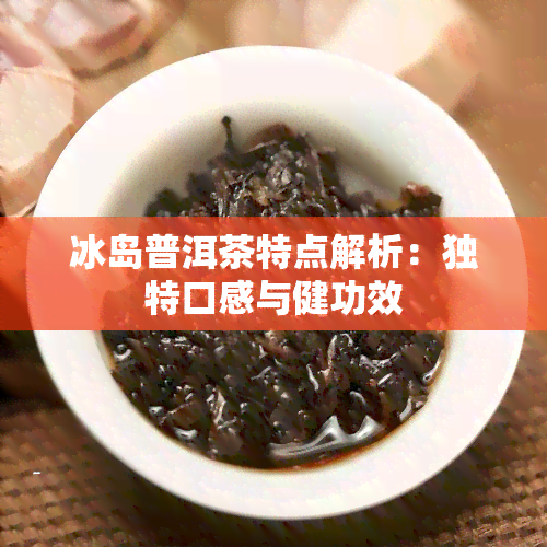 冰岛普洱茶特点解析：独特口感与健功效