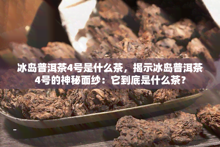 冰岛普洱茶4号是什么茶，揭示冰岛普洱茶4号的神秘面纱：它到底是什么茶？