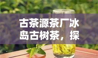 古茶源茶厂冰岛古树茶，探寻冰岛古树茶的源头：古茶源茶厂之旅