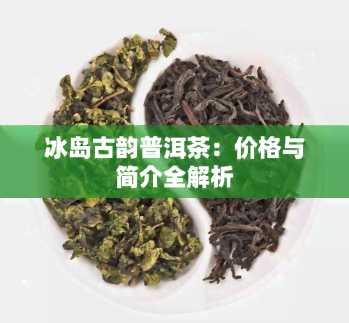 冰岛古韵普洱茶：价格与简介全解析