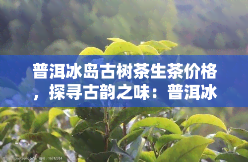 普洱冰岛古树茶生茶价格，探寻古韵之味：普洱冰岛古树茶生茶价格全解析