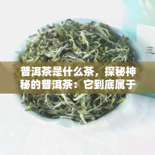 普洱茶是什么茶，探秘神秘的普洱茶：它到底属于哪种茶类？