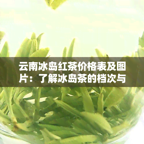 云南冰岛红茶价格表及图片：了解冰岛茶的档次与价值