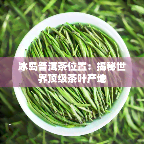 冰岛普洱茶位置：揭秘世界顶级茶叶产地