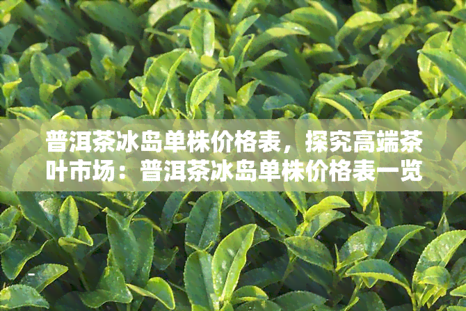 普洱茶冰岛单株价格表，探究高端茶叶市场：普洱茶冰岛单株价格表一览