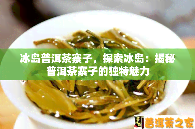 冰岛普洱茶寨子，探索冰岛：揭秘普洱茶寨子的独特魅力