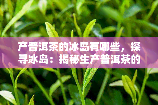 产普洱茶的冰岛有哪些，探寻冰岛：揭秘生产普洱茶的秘密之地