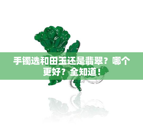 手镯选和田玉还是翡翠？哪个更好？全知道！