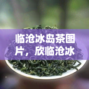 临沧冰岛茶图片，欣临沧冰岛茶的美丽：高清图片集锦