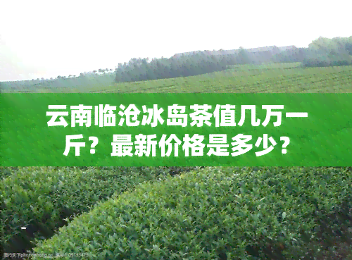 云南临沧冰岛茶值几万一斤？最新价格是多少？