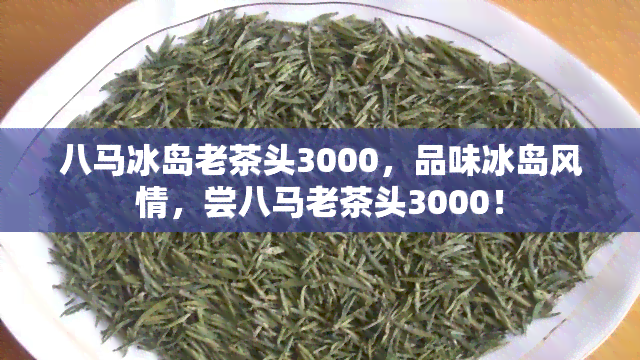 八马冰岛老茶头3000，品味冰岛风情，尝八马老茶头3000！