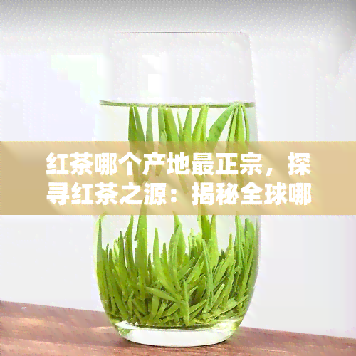 红茶哪个产地最正宗，探寻红茶之源：揭秘全球哪个产地的红茶最正宗、喝？