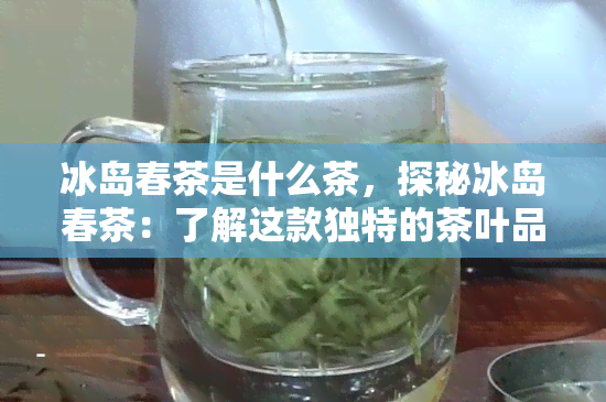 冰岛春茶是什么茶，探秘冰岛春茶：了解这款独特的茶叶品种