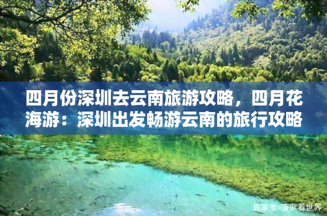 四月份深圳去云南旅游攻略，四月花海游：深圳出发畅游云南的旅行攻略