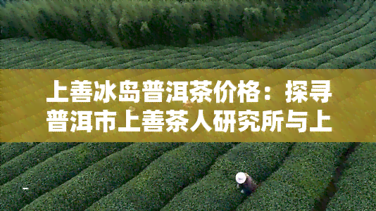 上善冰岛普洱茶价格：探寻普洱市上善茶人研究所与上善若水普洱茶价格的奥秘