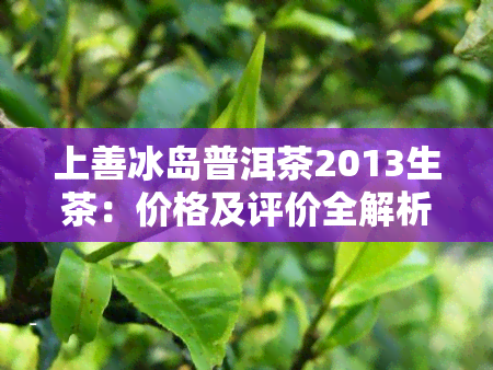 上善冰岛普洱茶2013生茶：价格及评价全解析