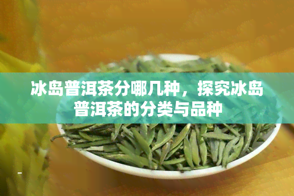 冰岛普洱茶分哪几种，探究冰岛普洱茶的分类与品种