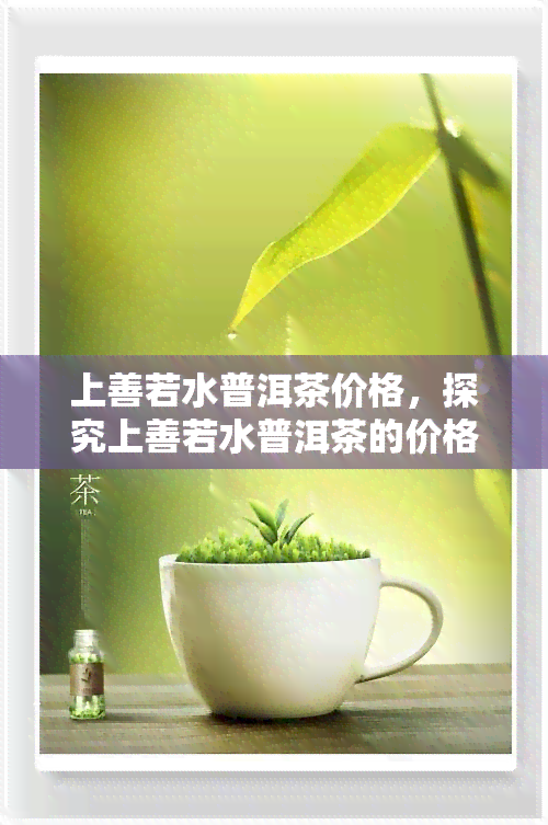 上善若水普洱茶价格，探究上善若水普洱茶的价格与品质关系