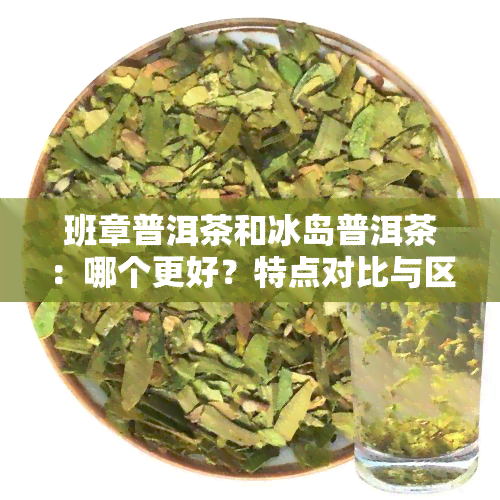 班章普洱茶和冰岛普洱茶：哪个更好？特点对比与区别解析