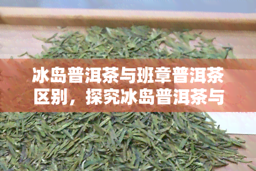 冰岛普洱茶与班章普洱茶区别，探究冰岛普洱茶与班章普洱茶的差异性