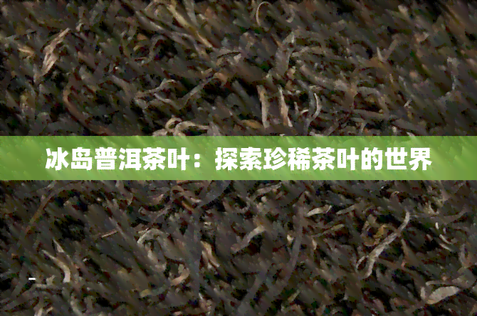 冰岛普洱茶叶：探索珍稀茶叶的世界