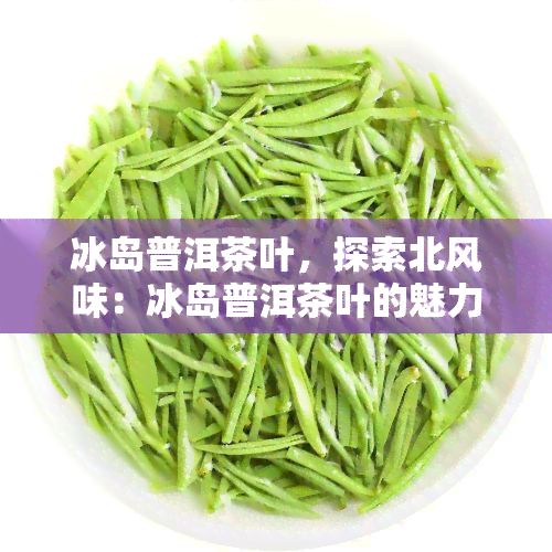 冰岛普洱茶叶，探索北风味：冰岛普洱茶叶的魅力与独特性