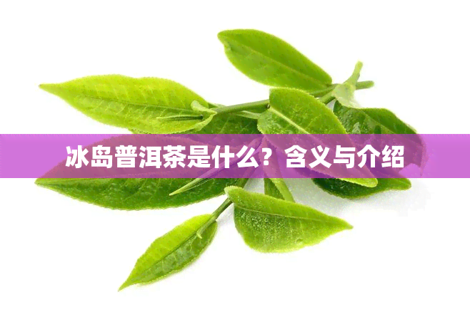 冰岛普洱茶是什么？含义与介绍